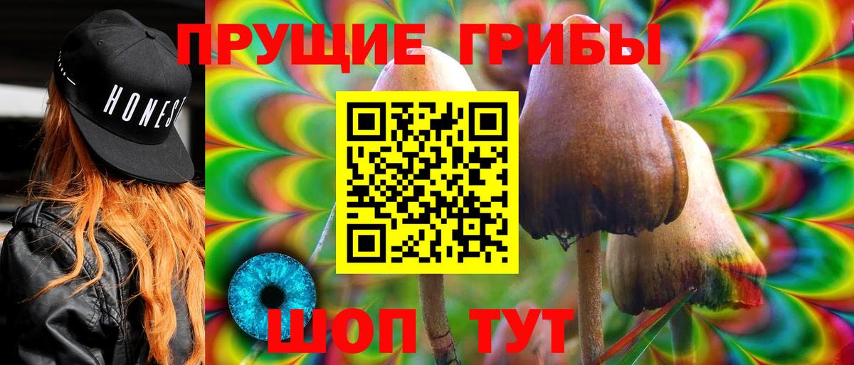 Псилоцибиновые грибы Cubensis Ипатово